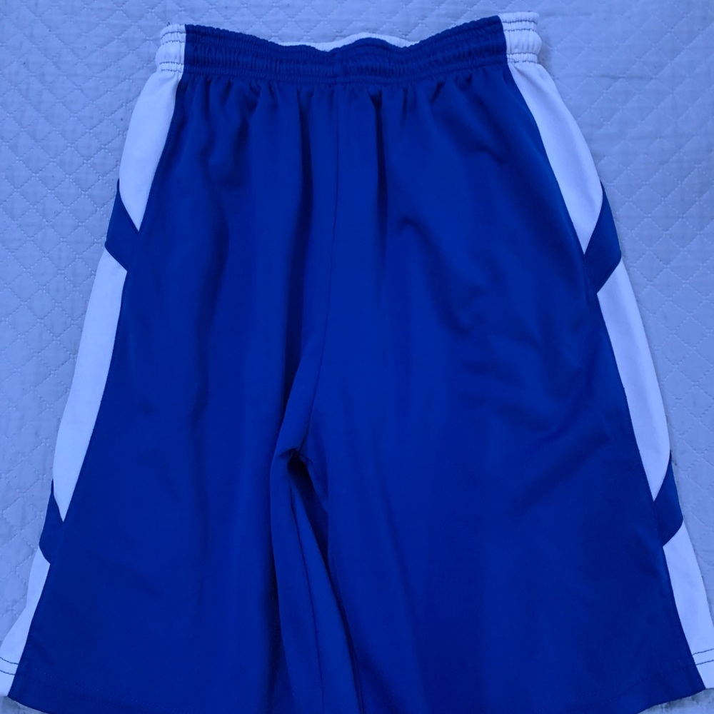 Casual Athletic Blue and White Shorts